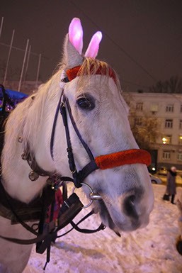 открытие нового терминала в аэропорту Курумоч